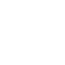 White store icon